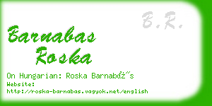 barnabas roska business card